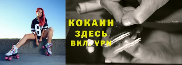 бошки Армянск