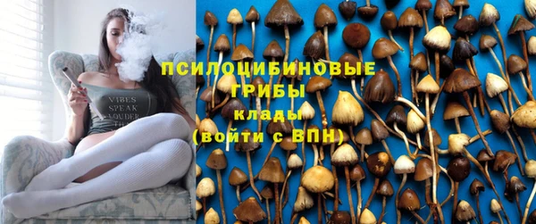 соль ск Арсеньев