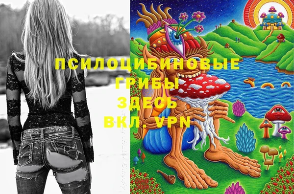 бошки Армянск