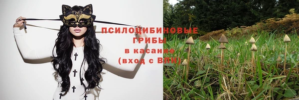соль ск Арсеньев